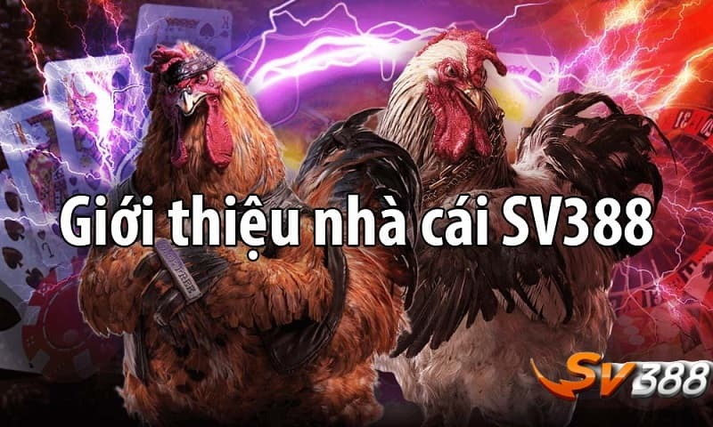 Giới thiệu nhà cái SV388