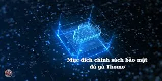 Bảo mật thông tin đá gà trực tiếp tại 247